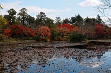 Tırmıklanmış çakıllı Zen kayalık bahçesi. Rahatlatıcı ve rahatlatıcı Japon bahçesi. Meditasyon için güzel bir yer.