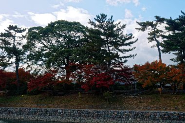 Göletin yanında yaprakların kırmızı renkleri ve sudaki ağaç yansıması. Gün batımından önce güzel bahçenin manzarası