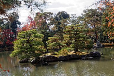 Göletin yanında yaprakların kırmızı renkleri ve sudaki ağaç yansıması. Gün batımından önce güzel bahçenin manzarası