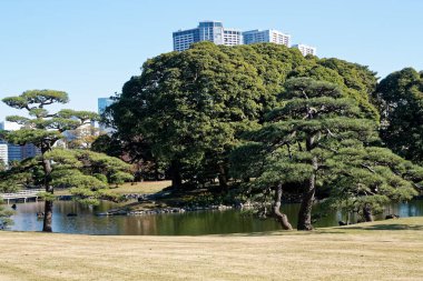 Tokyo 'daki şehir merkezinde. Kamu parkından görüntü. Tokyo 'dan Skyline.