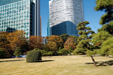 Tokyo 'daki şehir merkezinde. Kamu parkından görüntü. Tokyo 'dan Skyline.