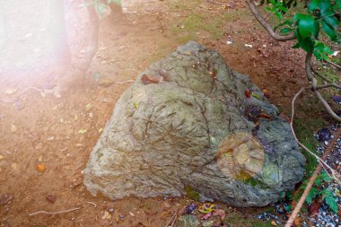 Japonya 'da kayalarla dolu bir park. Kayalık kayalık bahçe manzarası. Bahçe arka plan panoramik görünümü. Bahçıvan arka bahçe tasarım elementi.