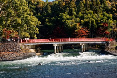 Nara Japonya 'da köprü (shinkyo bridge). Sonbahar manzarası.