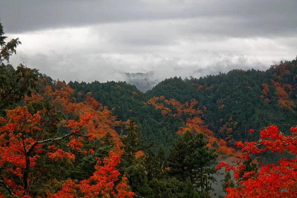 日本の秋の風景 日本の紅葉と小川 — ストック写真