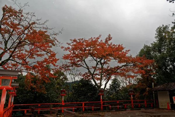 日本秋季风景 在日本五彩斑斓的树叶和溪流 — 图库照片