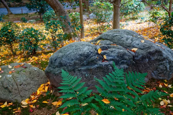 日本公园有巨石 岩石园的全景 园艺背景全景 园艺师后院设计元素 — 图库照片