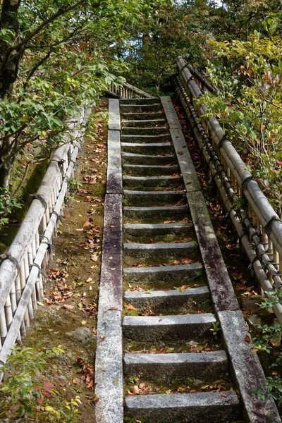 Japan zen path in a garden, park in autumn season and maple tree.