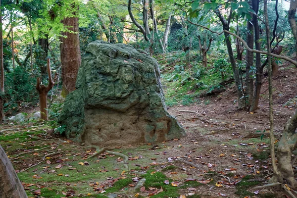 Japan Park Met Rotsblokken Panorama Van Rotstuin Tuinieren Achtergrond Panoramisch — Stockfoto