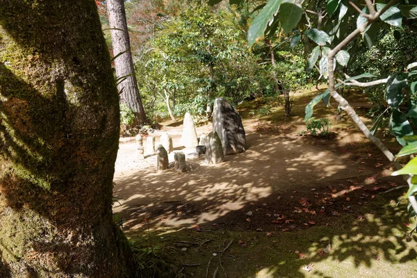 Tokyo Very Clean Public Park Autumn Colourful Leaves Japan Culture — Stock Photo, Image