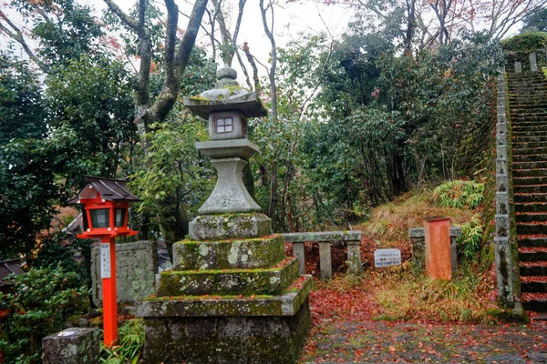 日本人在花园里修路 秋天在公园里种满枫树 — 图库照片
