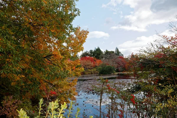 Red Fall Foliage Leaf Colours Pond Tree Reflection Water Landscape — Stock Photo, Image