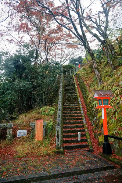 在日本 楼梯通往高山和枫树 日本京都Kinkaku Zen佛寺公园楼梯 — 图库照片