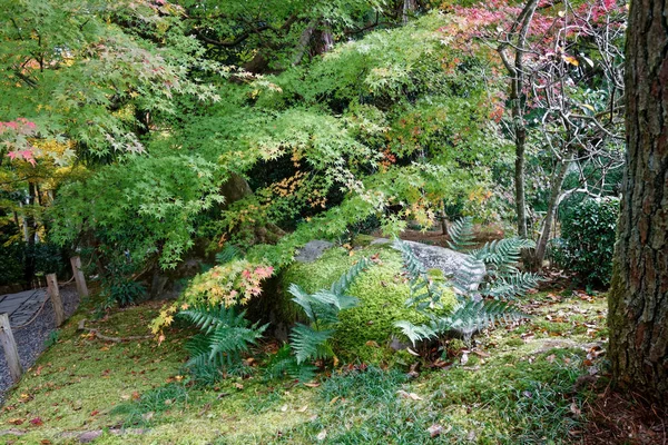Japão Parque Com Pedras Panorama Rockery Rock Garden Jardinagem Vista — Fotografia de Stock