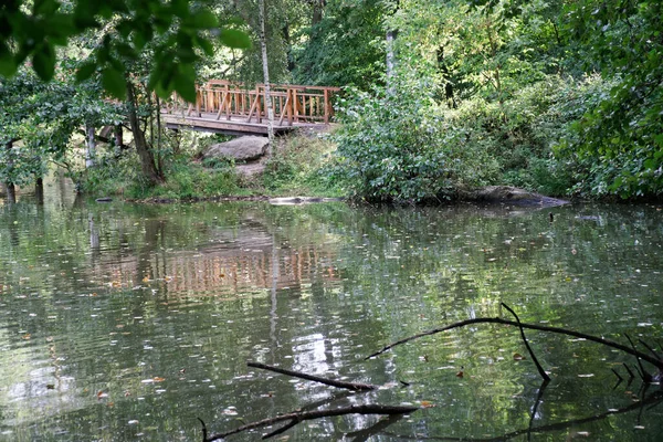 Fall Lush Pond City Park Trees — Stock Photo, Image