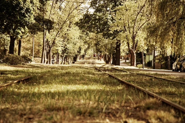 Ferrovie Del Tram Nel Parco Dettaglio Della Strada Vecchio Trasporto — Foto Stock