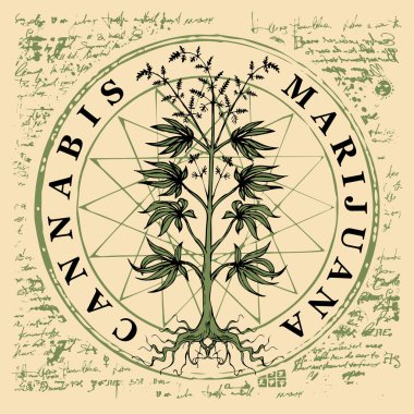 Vector banner for legalize marijuana with hemp plant on abstract old papyrus background or grunge style manuscript. Natural product made from organic hemp. Smoking weed. Medical cannabis logo clipart