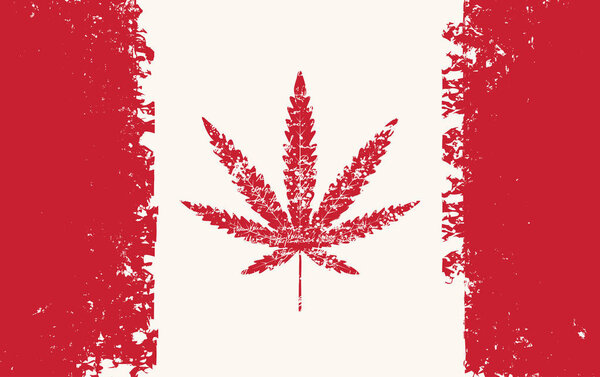 Vector banner for legalize marijuana with hemp leaf on abstract background of canadian flag in grunge style. Natural product made from organic hemp. Smoking weed. Medical cannabis logo