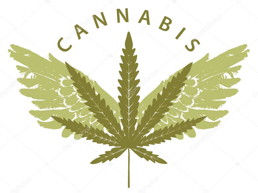 Vector banner for Medical cannabis with hemp leaf and wings isolated on white background. Natural product of green medicine from organic hemp. Medical cannabis logo