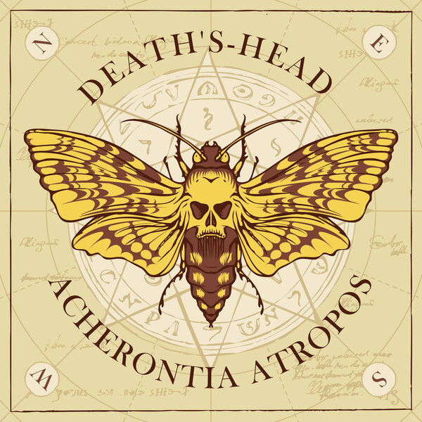 Иллюстрация бабочки Мёртвая голова с черепом в форме рисунка на грудной клетке на старом абстрактном фоне с магическими надписями и символами. Векторный баннер в стиле ретро
