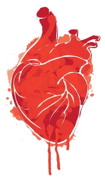 インクのしみ 滴しずくと人間の心の赤いベクトル グラフィック抽象的なイラスト 血心がスポットと白い背景の水しぶき シャツのデザイン テンプレート — ストックベクタ