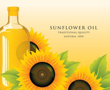 Vektör çizim veya tam cam şişe, Olgun ayçiçeği ve sarı zemin üzerine yeşil yaprakları ile ayçiçek yağı için banner.