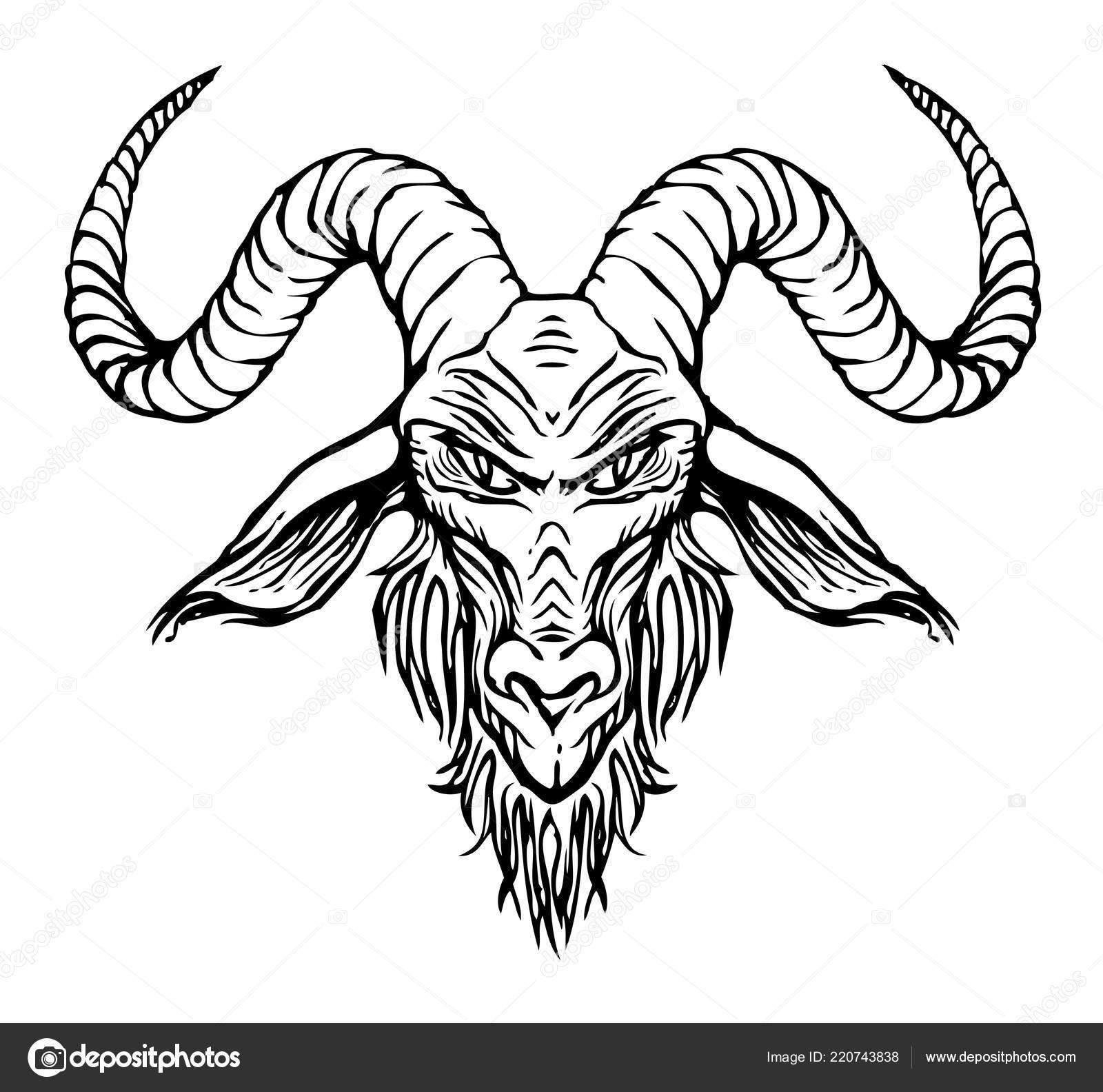 Ilustração Vetorial Com Desenho Contorno Cabeça Uma Cabra Com Chifres Vetor  de ©paseven 220743838, image size:1600x1584