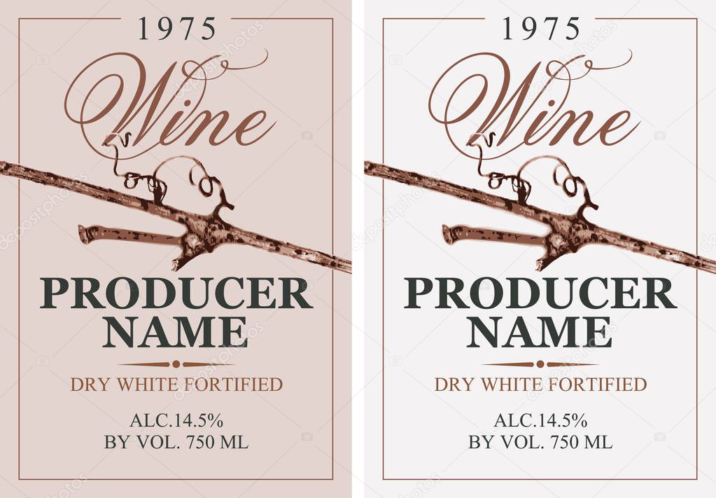 Set of two vector wine labels with grapevine and calligraphic inscription in retro style. Dry white fortified