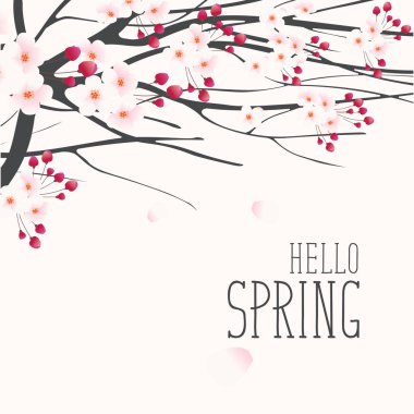 Pembe tomurcukları ve çiçek çiçek açan ağaç ve yazıt Merhaba bahar dalları üzerinde bir bahar yatay ile vektör tebrik kartı