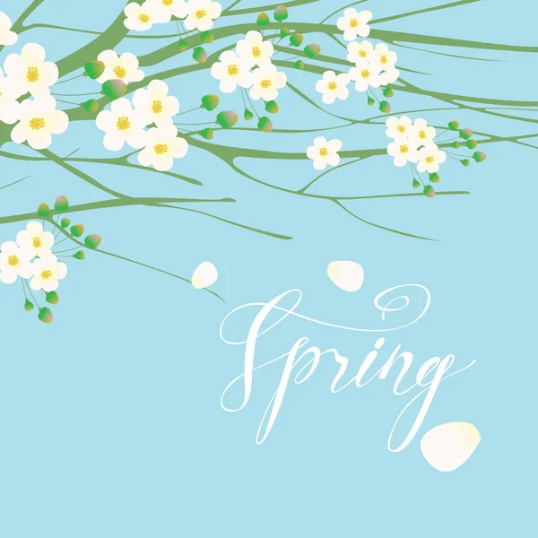 Carte Vœux Vectorielle Bannière Avec Des Bourgeons Blancs Des Fleurs — Image vectorielle