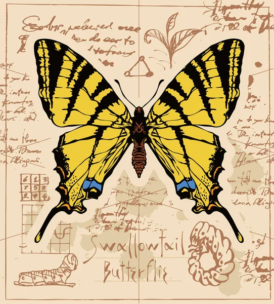 Swallowtail Kelebek Larva Mürekkep Lekeleri Ile Eski Yazması Arka Plan — Stok Vektör