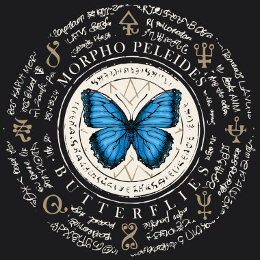 Illustration of a Morpho peleides butterfly with blue wings on an old abstract background with magical inscriptions and symbols. Vector banner in retro style on the black background clipart