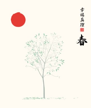 Manzara Japon ve Çin tarzında bir genç ağaç ve kırmızı güneş ile suluboya bahar. Vektör çizim. Hiyeroglif Bahar, mutluluk, gerçek
