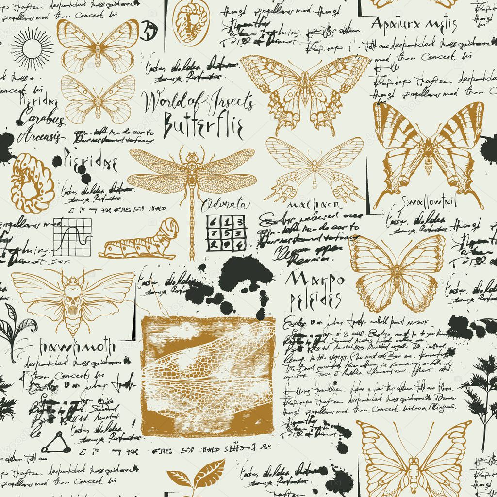 Vector seamless abstract background with butterflies. Various butterflies, ink spots, sketches and handwritten inscriptions on the old manuscript. Can be used as retro wallpaper, wrapping paper