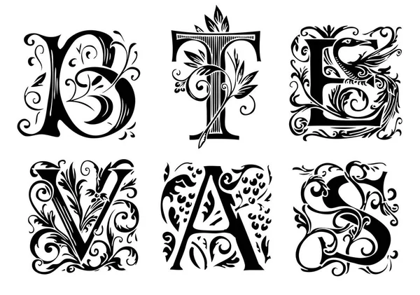 Serie di lettere iniziali disegnate a mano decorative — Vettoriale Stock