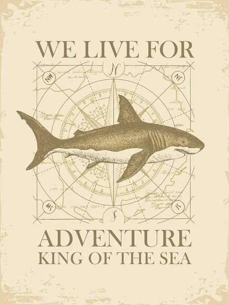 Köpekbalığı ve eski harita ile Retro seyahat afiş — Stok Vektör