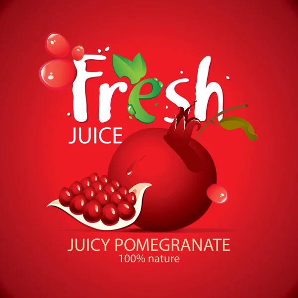 Banner for fresh pomegranate juice with fruit — Stock Vector