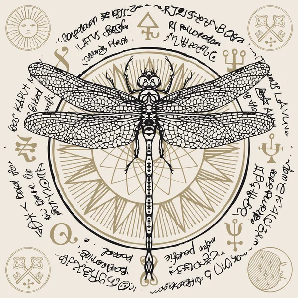Handgezeichnete Libelle mit alten magischen Symbolen — Stockvektor