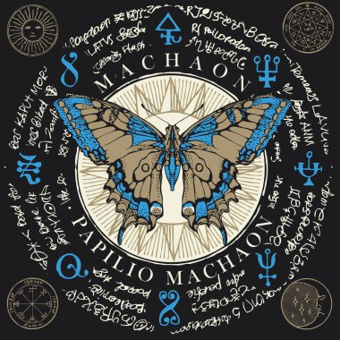 Papilio machaon butterfly with old magic symbols clipart