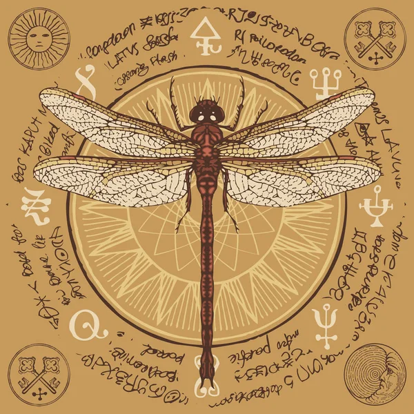 Ručně tažené Dragonfly se starými kouzelných symbolů — Stockový vektor