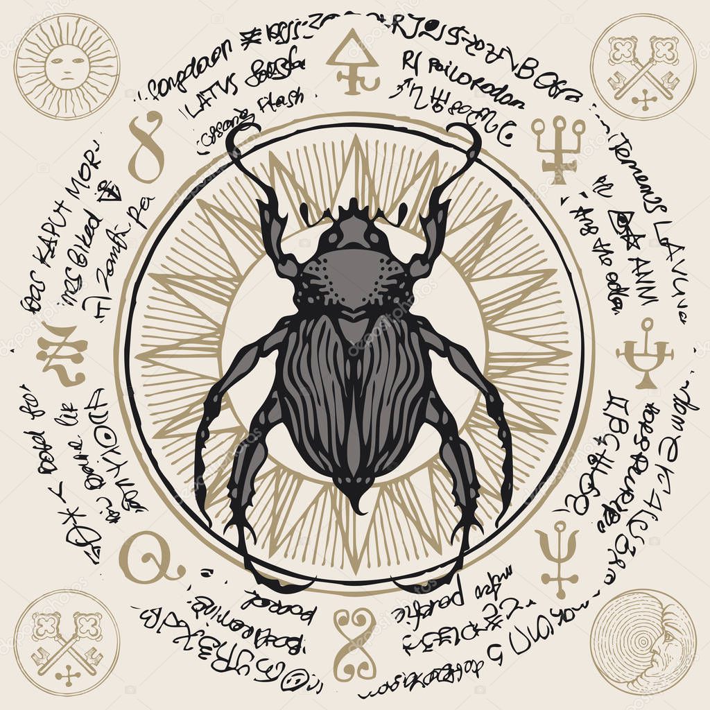 banner with hand drawn beetle and magic symbols