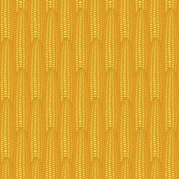 Seamless pattern with realistic yellow corn cobs — Stock Vector