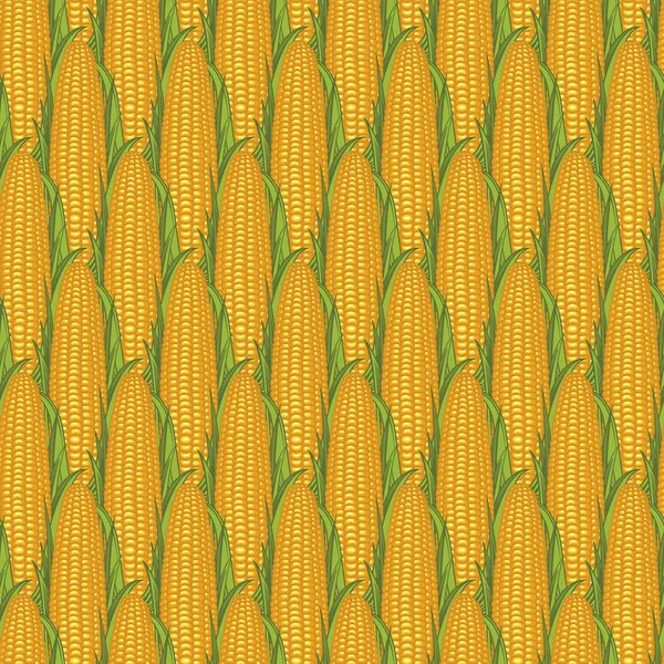 Zökkenőmentes mintázat valósághű sárga kukorica csövek — Stock Vector