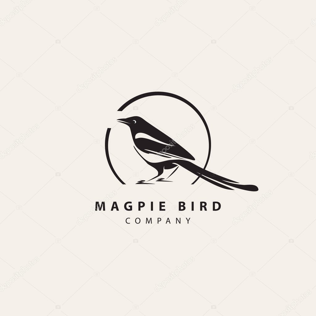 Simple modern magpie bird logo in circle frame with inscription. Animal vector icon isolated on light background, template element for web design