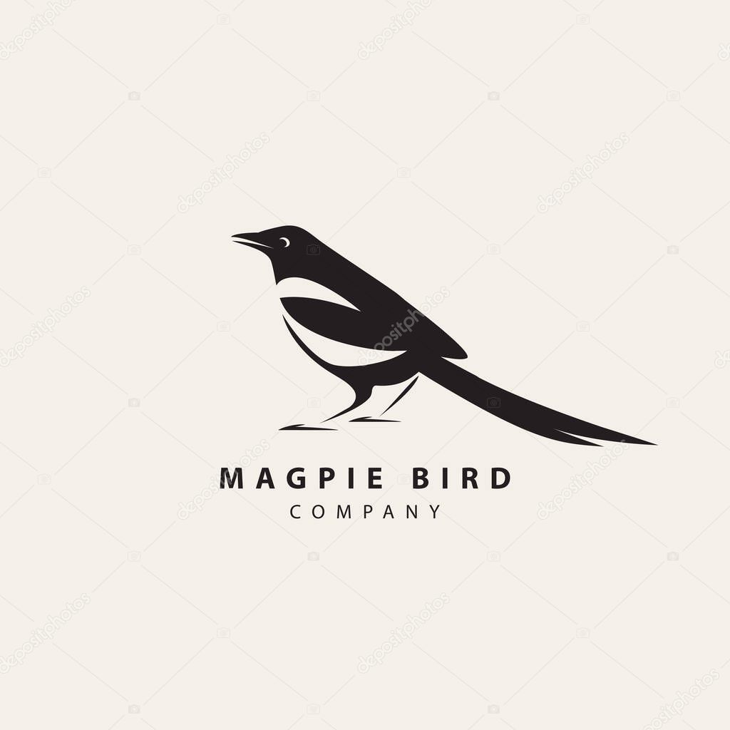 Animal vector icon isolated on light background, template element for web design. Simple modern magpie bird logo with inscription
