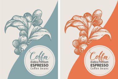 Eski tarz kahve etiketleri. Kahve çekirdekleri için iki vektör etiketi, el yapımı kahve dalları, kahve çekirdekleri ve Arabica primi, Espresso yazıları.