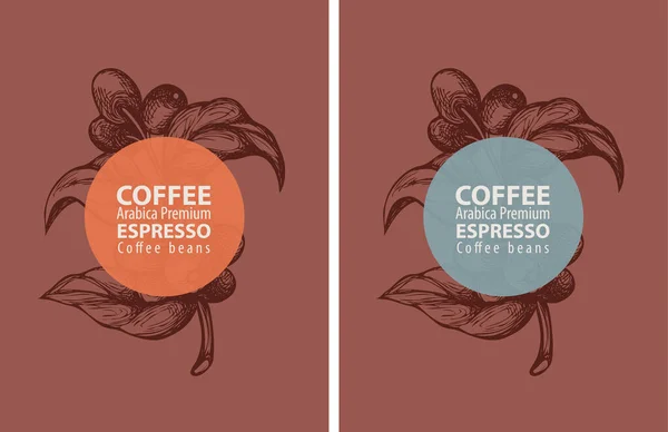 咖啡标签是复古风格的 一套两个矢量标签的咖啡豆手绘咖啡枝条 咖啡豆和单词Arabica Premium 浓缩咖啡在棕色背景 — 图库矢量图片