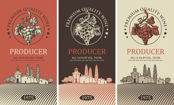 Bir Avrupa Köyünün Kırsal Manzarasına Sahip Şarap Etiketi Yapımı Üzüm — Stok Vektör