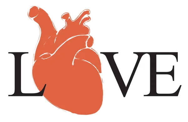 Inscrição Amor Com Letras Pretas Coração Humano Vermelho Sobre Fundo — Vetor de Stock