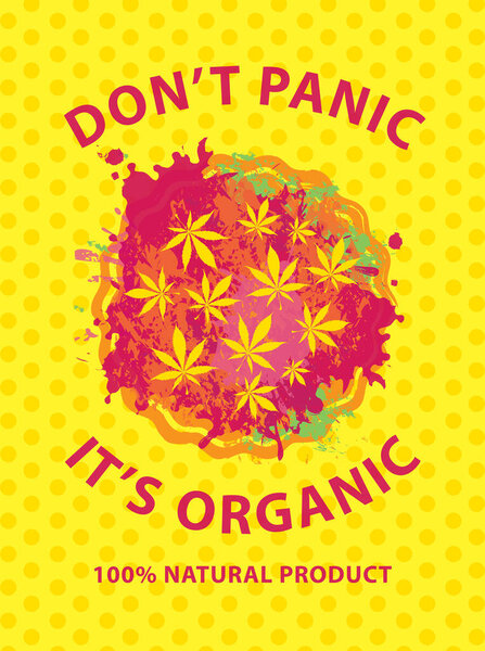 Banner with cannabis pizza. Vector illustration on the topic of legal or illegal marijuana. Hallucinogenic pizza with marijuana on the yellow background with polka dots. Hemp drug consumption