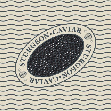 Arka planda oval çerçevede siyah mersin balığı havyarı etiketi var. Deniz ürünleri menüsü, reklam afişi, ambalaj kağıdı için vektör tasarımı ögesi.